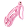 CockLock Cage de chasteté Netty XXL 11 x 4cm Rose